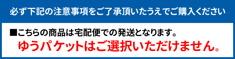 エコノミーキャスト光沢紙(紙ベース)・幅610mm(A1)×30M【2本入】＜ゆうパケット対応不可＞[FT] プリンタインクのジットストア