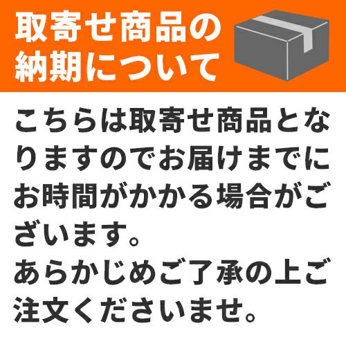 インクジェット用スーパーファイン用紙A3サイズ100枚入り　サンワサプライ【JP-EM5NA3-100】[SAN]